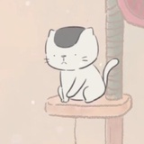 职业搬砖