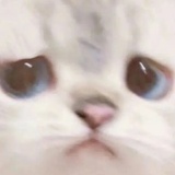 哇唧唧哇