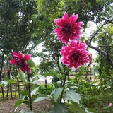 韵yike
