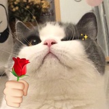🍡（重生版