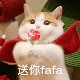 盖中盖