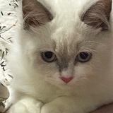 磨111