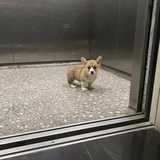 要看男女主