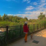 春山秋水