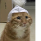 大豆瓣五斤