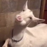 豆友OaEQxfivBo