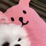 豆友W_25U682_c