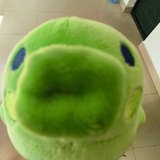 啄木鸟没眼睛