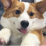 豆友dlRcYnFskE