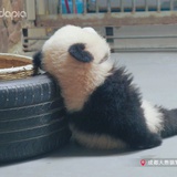 好好学习的人