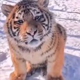 别丢掉自我