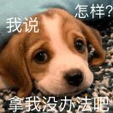 自燃碗
