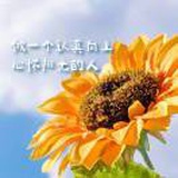 豆友CBetAr-M7s