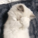 杂货铺