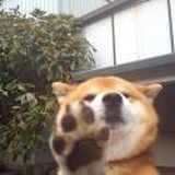 梦醒了