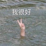 🏍来一碗干拌面