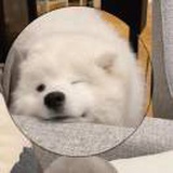 豆友JYEzdJlHxE