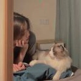 有个馒头