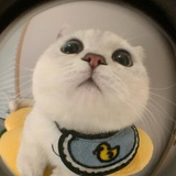 widelightmoon