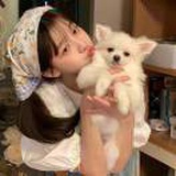 豆友oxetEBafy8