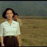 光