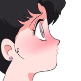 包包菜不菜