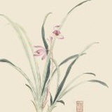 豆友8NeenuKCS8