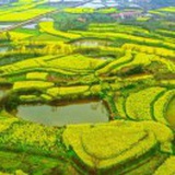疯狂的稻草人