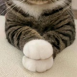 萨儿