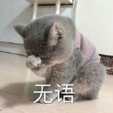 小魏今天练琴了