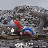 黑李子