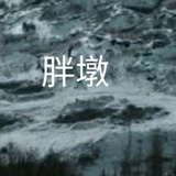 向前飞去