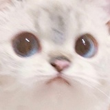 주야숑