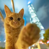 打起精神来