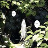 瓦尔登湖i