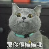123