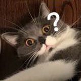 豆友AVNPyf_LG0