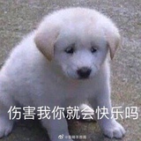 豆友262962169