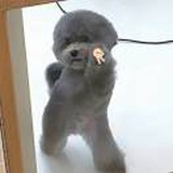 豆友CLFDG7aXgQ