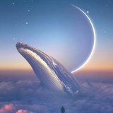 星辰投递员