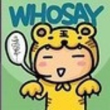 胡同里的猫
