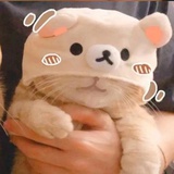 Moimoi