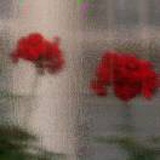 豆友wAKFJtC5_8