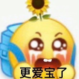 海宝1208