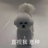 风汐mk
