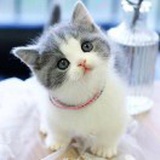 豆友9sbBS3XJDk