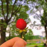 把你的嘴闭上