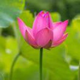 豆友0bfrpxfO-I