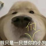 可乐气泡水