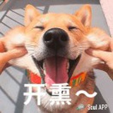 个人房屋出租